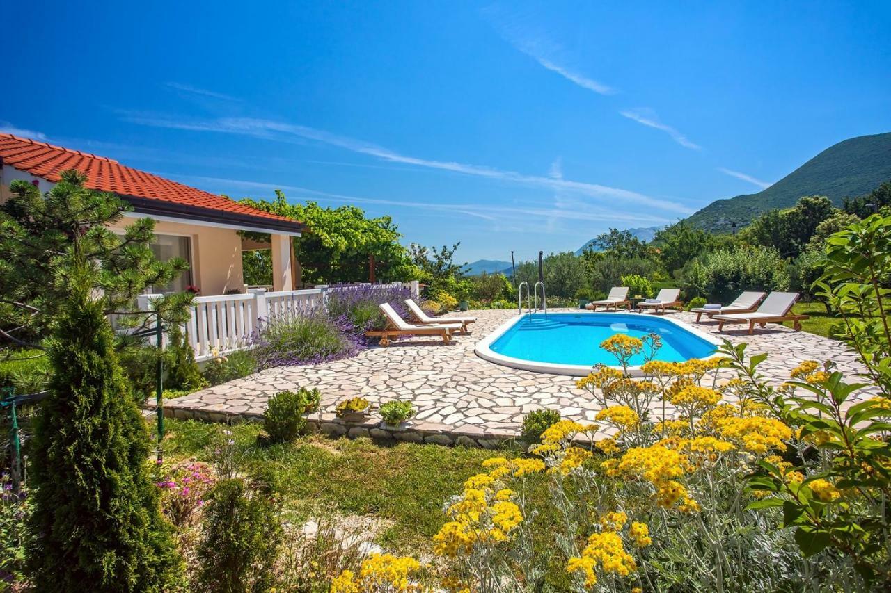 Villa Ana - 3 Bedroom Villa With Private Pool And Unspoiled Natural Environment Kučiće Exteriér fotografie